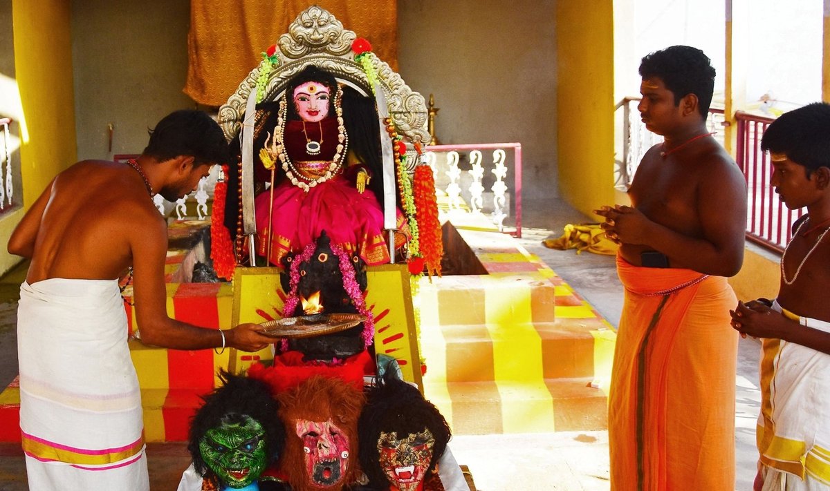 Indijoje atsirado deivės Koronos šventykla