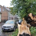 Pajūryje praūžęs vėjas pridarė žalos: medžiai griuvo ant automobilių ir tvorų