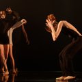 „Kūrybiniame impulse XI“ – choreografinių premjerų pliūpsnis