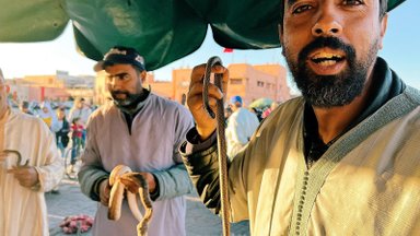 „Gyvačių užkalbėtojų“ pasirodymą Maroke stebėjęs lietuvis: tai, ką jie išdarinėja su ropliais – ne silpnų nervų žmonėms