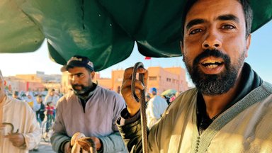 „Gyvačių užkalbėtojų“ pasirodymą Maroke stebėjęs lietuvis: tai, ką jie išdarinėja su ropliais – ne silpnų nervų žmonėms