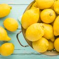 Neįtikėtina citrinos nauda: 13 receptų grožiui ir sveikatai