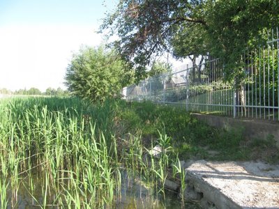 Būsimojo Vilkaviškio ligoninės direktoriaus tvora yra per arti ežero