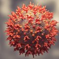 PSO sunerimo dėl naujos koronaviruso atmainos: ji perduodama lengviau už bet kurį kitą žinomą variantą