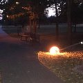 Rokiškio miesto parke nukentėjo šviestuvas