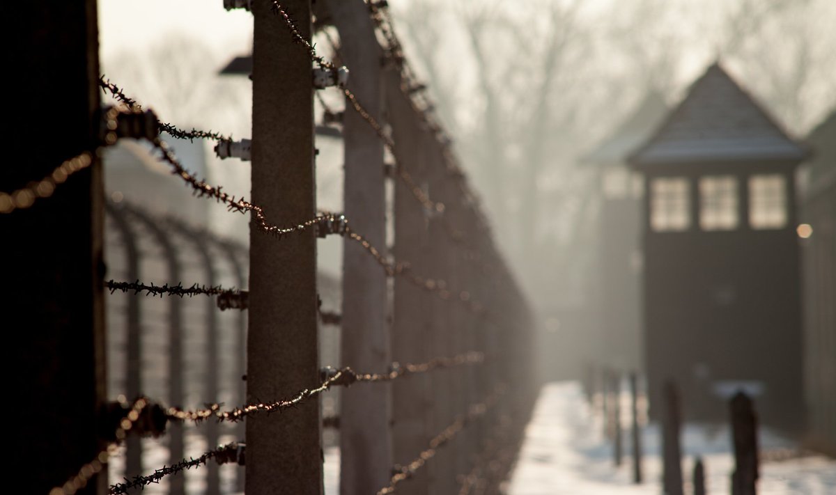 Aušvico koncentracijos stovykla, Vokietija