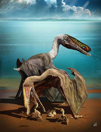 Dinozaurai Hamipterus tianshanensis