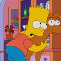 Neįtikėtini faktai apie „Simpsonus“: nuo Homerio adreso iki griežtų įsipareigojimų televizijai