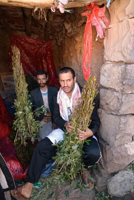 Kai kuriose musulmoniškose šalyse labai populiarus narkotinių savybių turintis augalas - katas