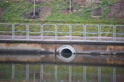 Naujausias aplinkosaugininkų tyrimas parodė, kad Panevėžio rajone net 27-ios upės neatitinka geros ekologinės būklės reikalavimų, o ežeruose situacija dar prastesnė