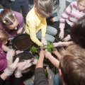 Suomijos ambasada dienos centro vaikus mokė miesto daržininkystės