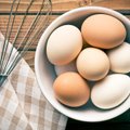 Kurie kiaušiniai vertingesni – rudi ar balti: ekspertai atkreipia dėmesį į svarbų veiksnį