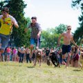 Azartiškos „bliuzų“ šunų lenktynės - keturkojus viliojo saldžiais pažadais ir čeburėkais