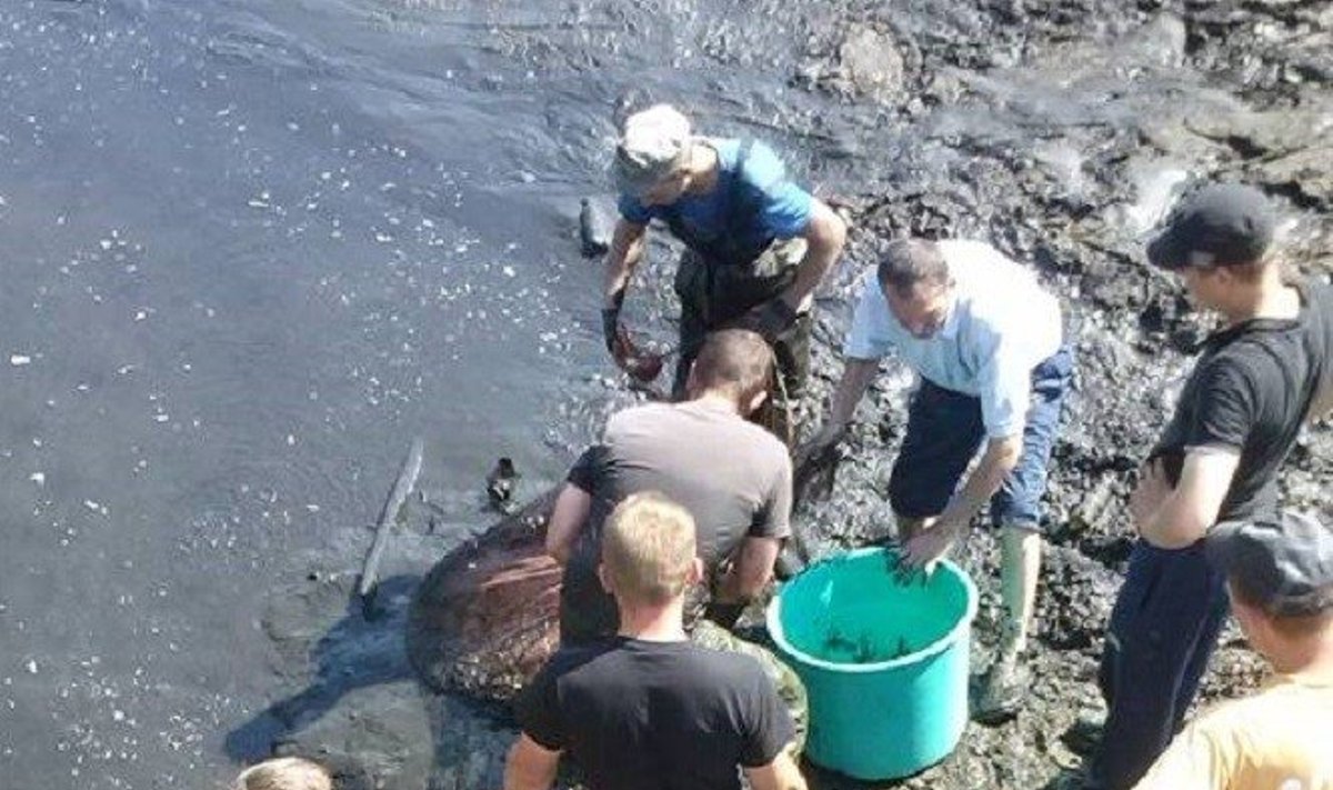 Žmonės Degučių tvenkinyje stengiasi išgelbėti žuvis 