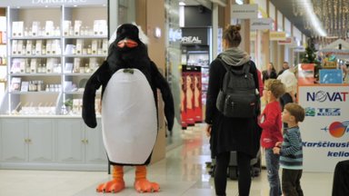 Praeivio jautrumo sulaukęs pingvinas nustebino vaikiną: nepatikėjo, jog tai tikra