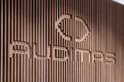„Audimas“