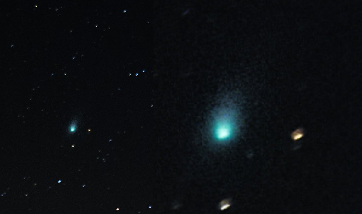 Kometa C/2022 E3 (ZTF). R. Andriuškos nuotr.