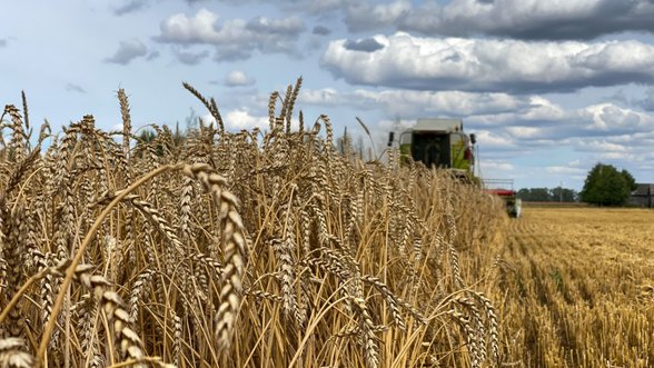 Navickas: Ukraina prašo padėti jai išvežti pernykštį grūdų derlių