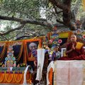 Potencialiam Dalai Lamos įpėdiniui – nemalonumai