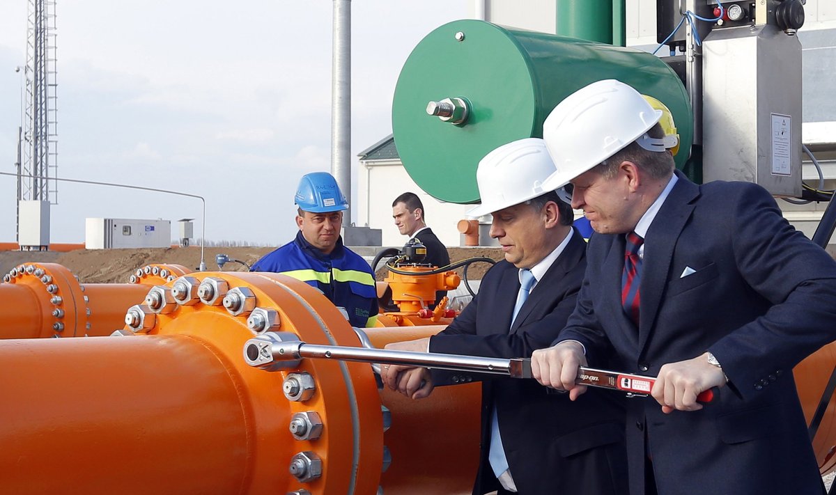 Vengrijos premjeras Viktoras Orbanas ir jo kolega iš Slovakijos Robertas Fico atidaro dujotiekį tarp šalių