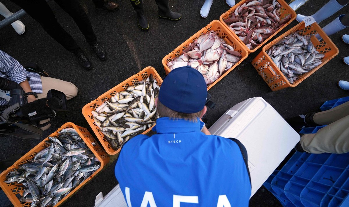 JT mokslininkai tikrino žuvies turgų Japonijoje, esantį netoli Fukušimos branduolinės jėgainės. Scanpix/VidaPress nuotr.