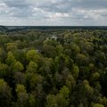 Lietuvoje vyks pasaulinis kongresas „Miškai ir jų poveikis sveikatai“