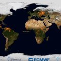 Šokiruojantys vaizdai iš kosmoso: užfiksavo, kaip 2019-aisiais degė Žemė