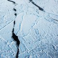 Arktyje pastebėti iki šiol dar niekada neužfiksuoti pavojingi reiškiniai