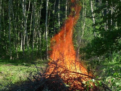 Prie miško kurti laužą draudžiama