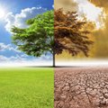 Klimato kaita ir žemės ūkis: nesiėmę permainų šiandien, ateityje galime kentėti nuo maisto nepritekliaus