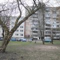 Квартира в столице Литвы за 40 000 евро: какие варианты возможны