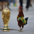 32 intriguojantys faktai apie prasidedantį pasaulio futbolo čempionatą