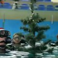 Narai kartu su delfinais po vandeniu šventė Kalėdas