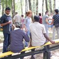 Vilniuje vyks pabėgėlių piknikas