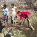 Indijoje iš nuotekų vamzdžio išgelbėtas keturių metrų ilgio pitonas