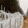 Seimo narė įspėja: baltarusių judėjimas per mūsų sieną – milžiniškas, tuo lengva pasinaudoti