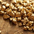 Auksas gali būti naudingas gydant vėžį