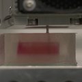 Japonų mokslininkai siekia 3D spausdintuvu sukurti tvaresnę žymiojo Wagyu jautienos kepsnio versiją