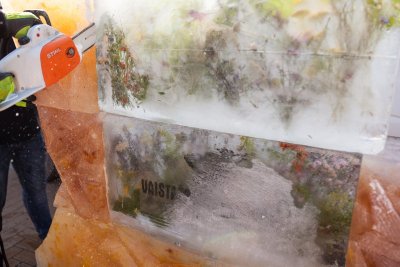 Virš tonos sverianti širdies skulptūra iš ledo Palangos poilsiautojams priminė saugoti širdį