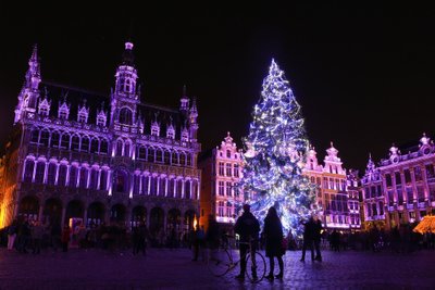 Kalėdų eglė Briuselyje
