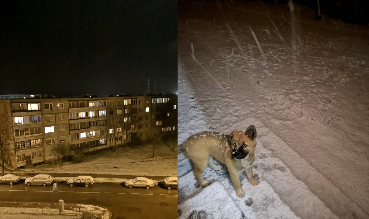 Sniegas Lietuvoje