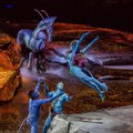 3 didžiosios „Cirque du Soleil“ spektaklio „Toruk – the First Flight“ paslaptys