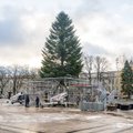 Vilniaus Kalėdų eglė jau kelia intrigas: internete pasirodė netikras jos žiebimo renginys