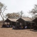 Tragedija Zimbabvės aukso kasykloje: sugriuvus šachtai neišvengta aukų