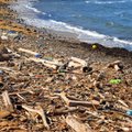 Besaikio švaistymo pasekmės - plastiko liekanų randama net atokiausiose pasaulio pakrantėse