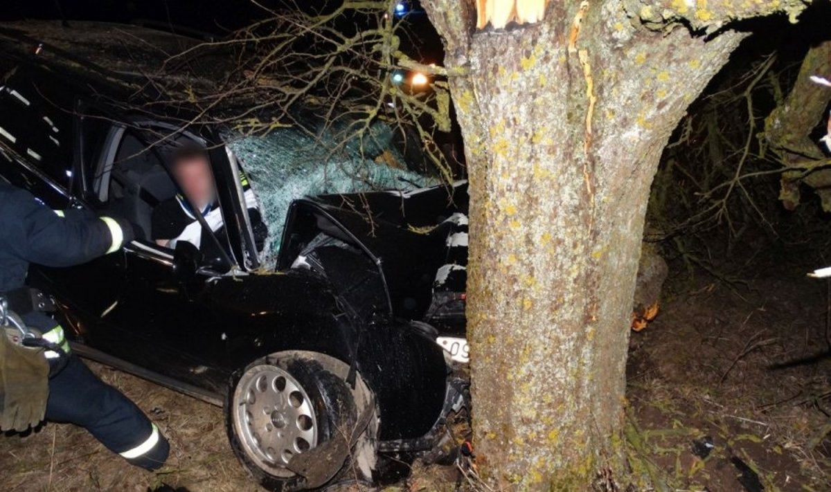Alytaus rajone "Audi" rėžėsi į medį, du žmonės ligoninėje