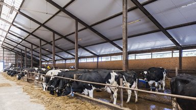 Vyriausybė pritarė naujajam Pieno įstatymo projektui: jei jį priims, bus draudžiami keli nesąžiningi veiksmai