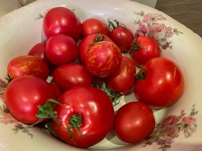 Orkaitėje keptas pomidorų padažas