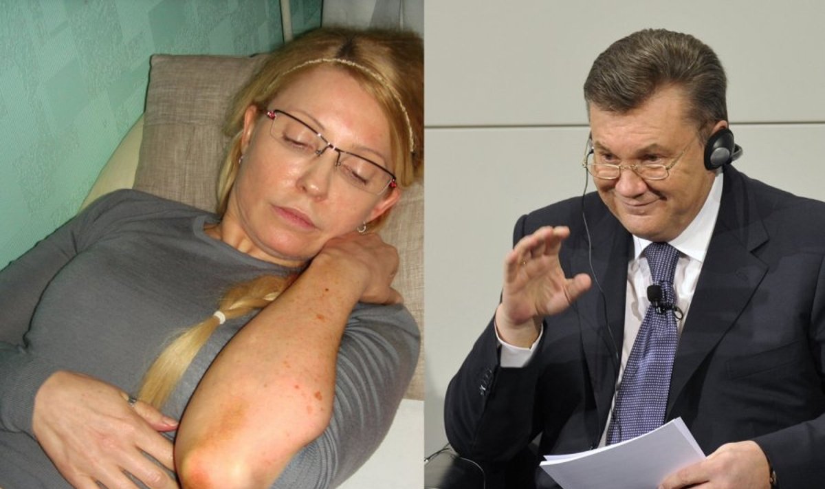 Julija Tymošenko, Viktoras Janukovyčius