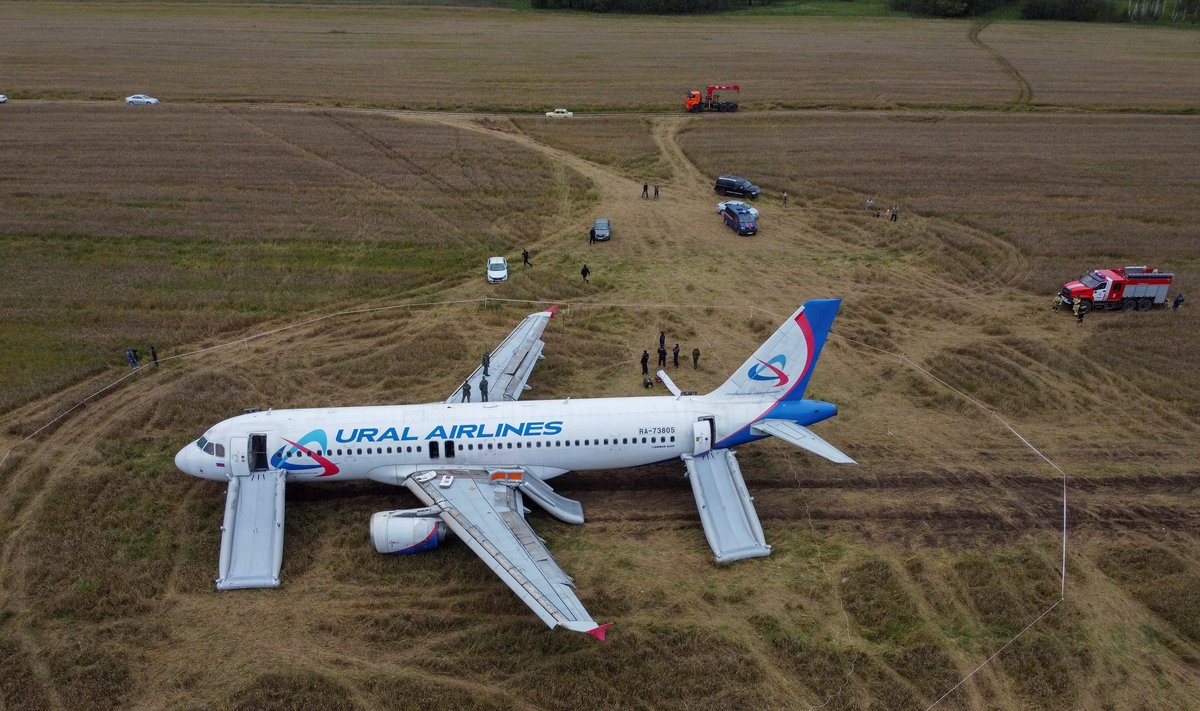Rusijos avialinijų "Ural Airlines" lėktuvas nusileido kviečių lauke
